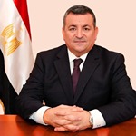 أ . د/ أسامة هيكل
